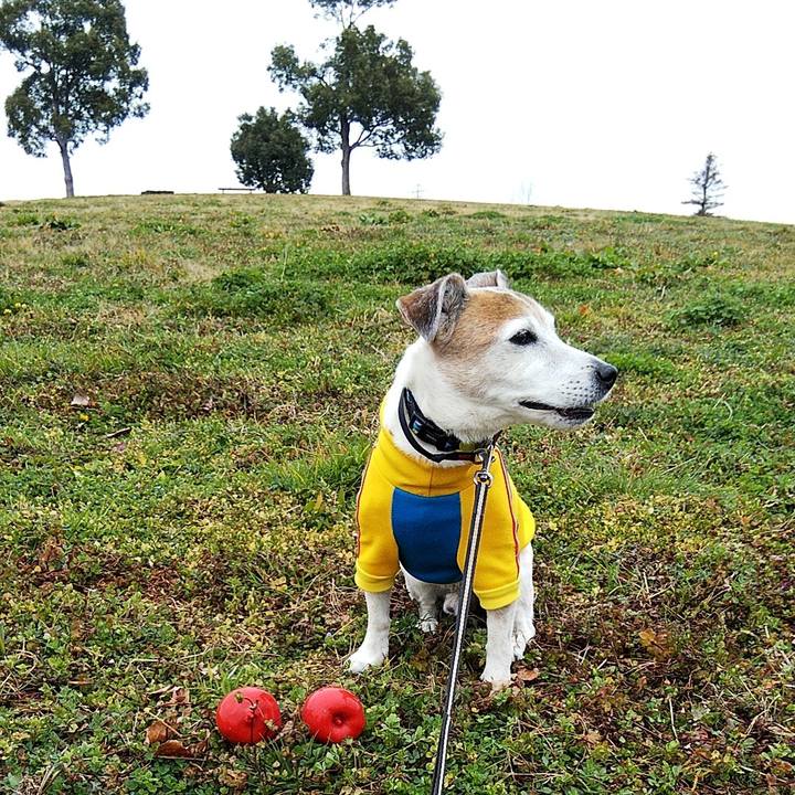 17c6e974 872b 4b02 901f 12d336788cab 1581755631492