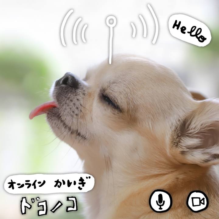 17c72931 5bcb 4b50 8d17 21e0579d8015 1590842296655
