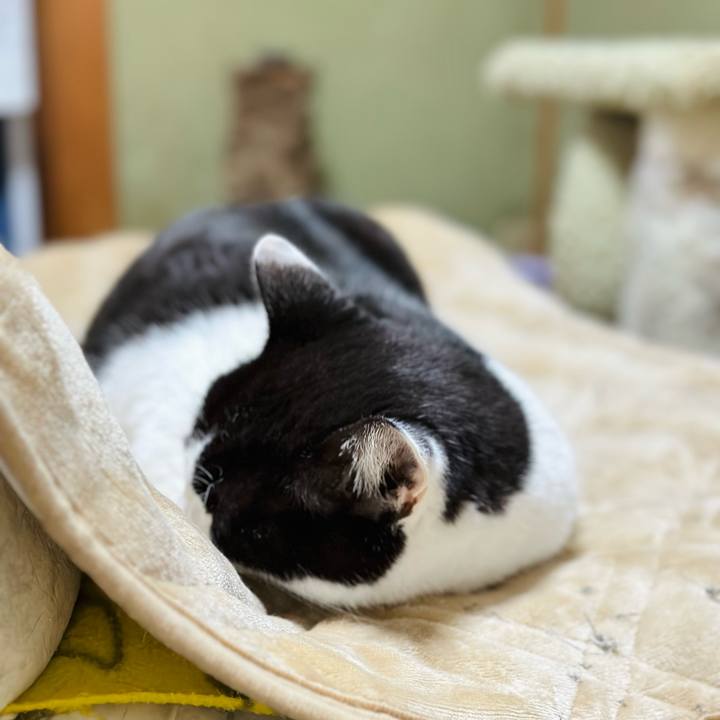 17c73f49 096c 4240 b32c 0a48e93babd2 1674090701578