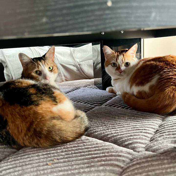 17c74682 ba89 4004 b0f6 e9d469ee7b21 1773202277662