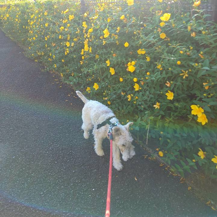 17c78d0c 8466 49a5 89d7 146cf77e5d08 1622505480310