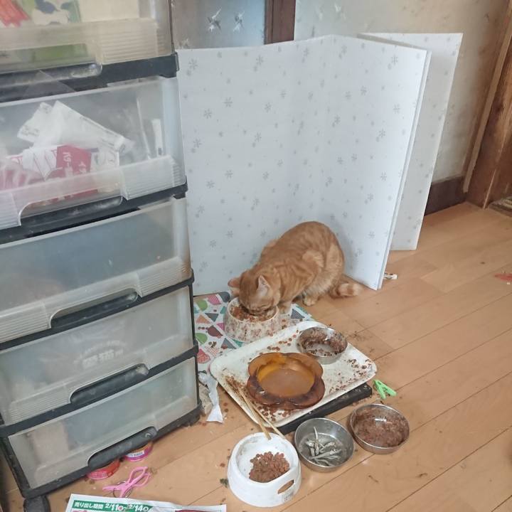 17c796cf ac2d 4114 b72e 63b4b4a350a6 1645073342694