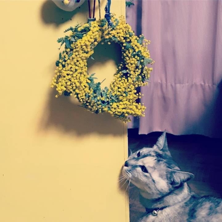 17c7977c c1b8 48b2 85da beae89a351f5 1584361683685