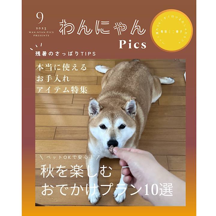 17c7c603 c839 4bd8 8541 1607f72068eb 1693830270739