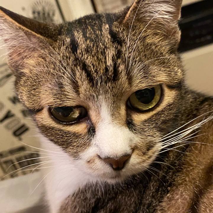 17c7dece 14d1 488e bcbc 1b40653f011e 1625293022307