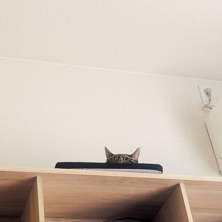 17c7e13a d325 467f 8d12 e2568c6ddbc2 1756693102546