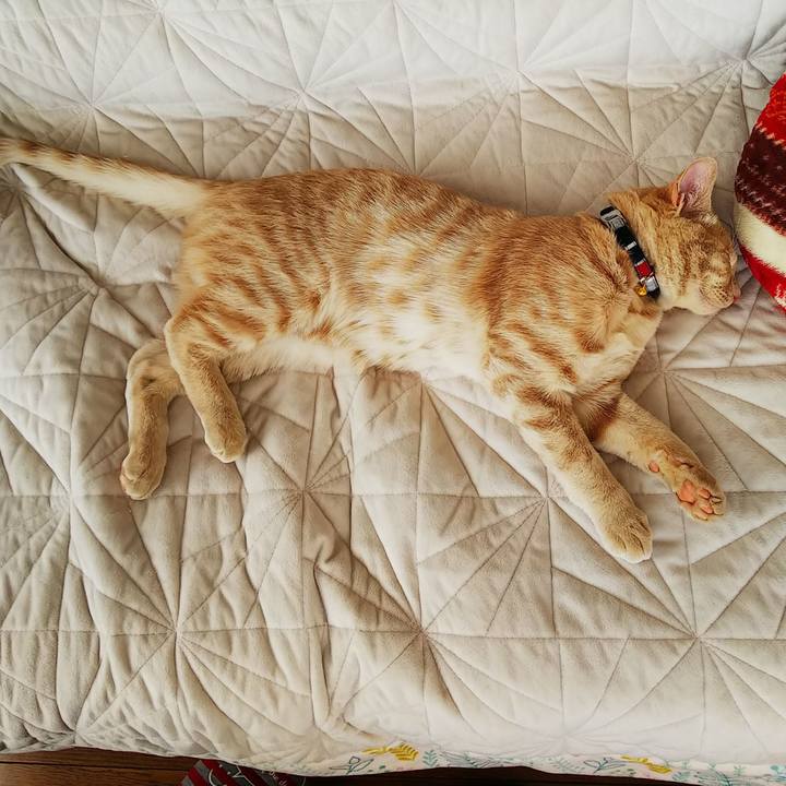 17c81b62 6985 47b0 9d9c 6fddc212650d 1547432709326