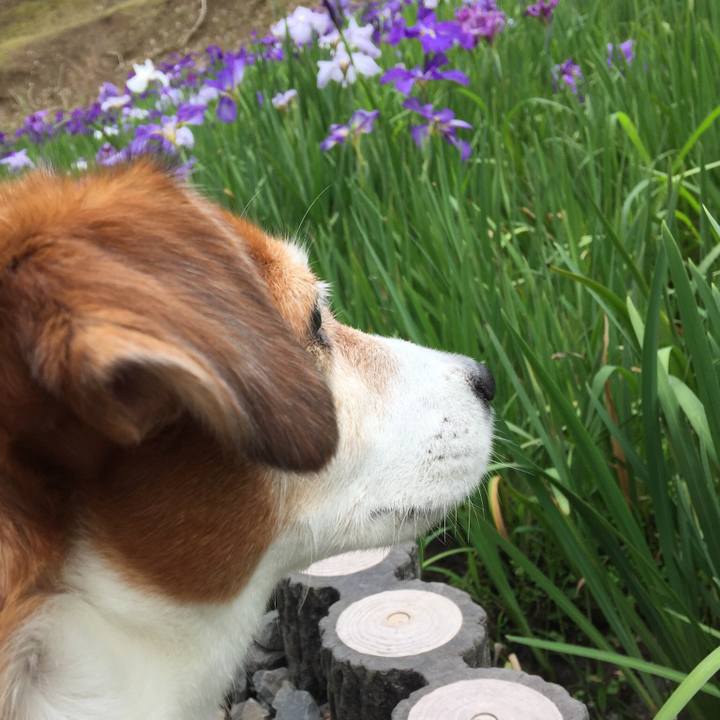 17c82b44 d28f 4168 b645 7cf31a02792a 1529233485320