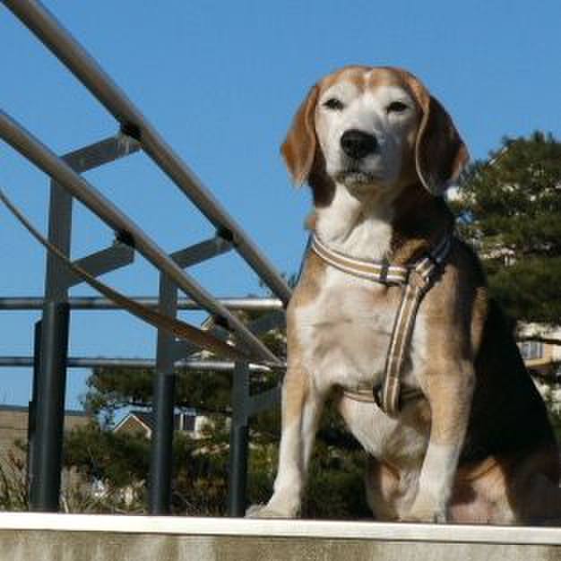 17c878fd 94ec 43fe a3ae f53a995530db 1648861839519