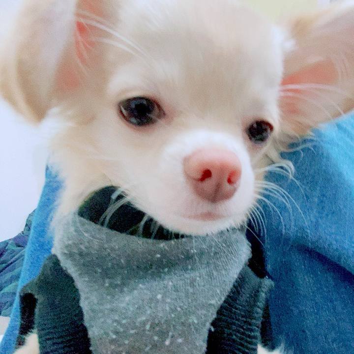 17c8aaae f3d9 4482 8c5c a61400a7ce1c 1604048060150