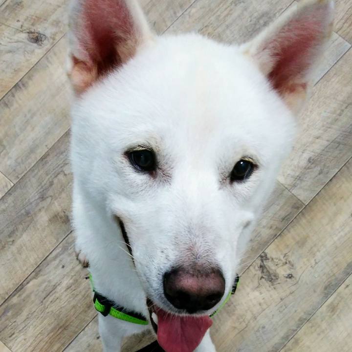 17c8c350 4738 467f ba97 f8c4b61b7fbb 1571400953425