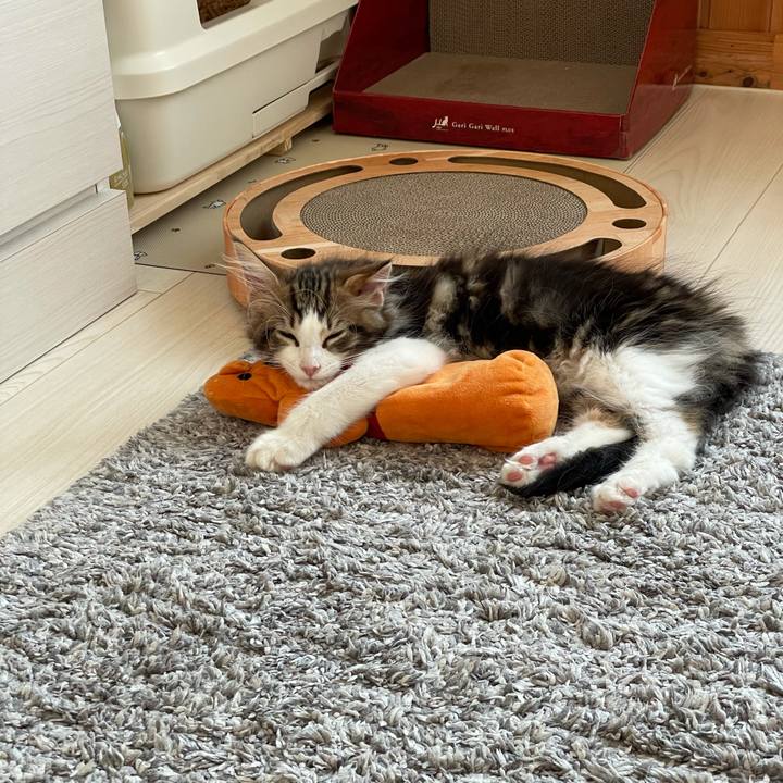 17c8e176 7e80 49c4 963c 045a33d07383 1632611971587