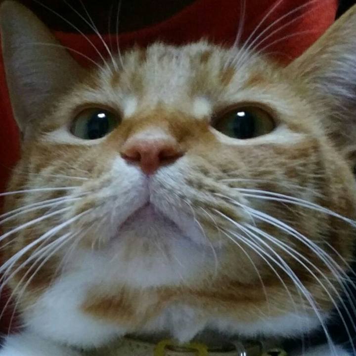 17c8f71b 7954 4610 b740 a62556fa8202 1579325617930