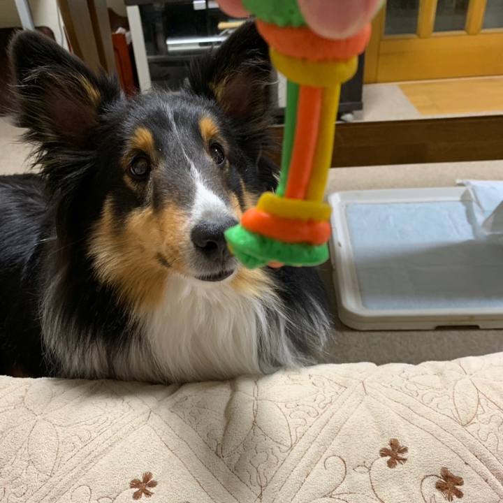 17c90809 7de3 435c 8ed2 05af520fff54 1558731715264