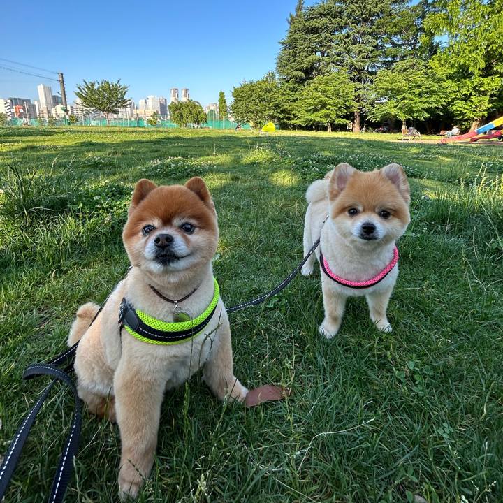 17c90975 8a42 4b14 ad32 9864ab52aee3 1685868817022