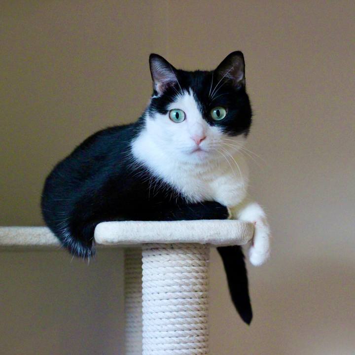 17c92337 73ab 4ac7 bf0b 170febd60e6c 1630105963831