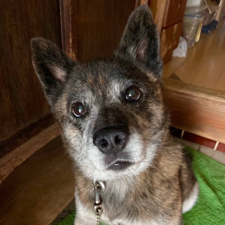 17c96e06 4538 41e5 9439 49d41799bde1 1661938092769