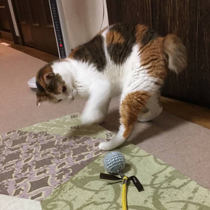 17c99041 896b 4752 a324 186f673a1a85 1567424707734