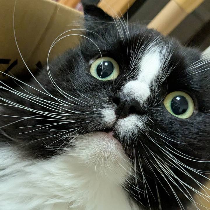 17c9dbec aacc 4006 b9b9 e8efd9557734 1745062191687