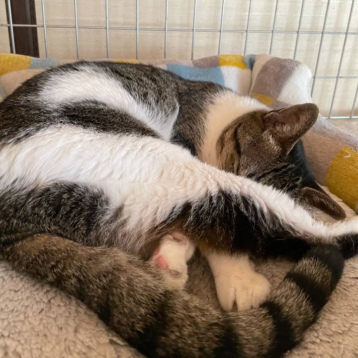 17c9f9f5 627f 44a0 9ec2 682052895a1d 1630200869519