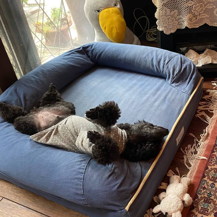 17ca11d0 fb3b 4b84 a35b 092b5634cb96 1633837948916