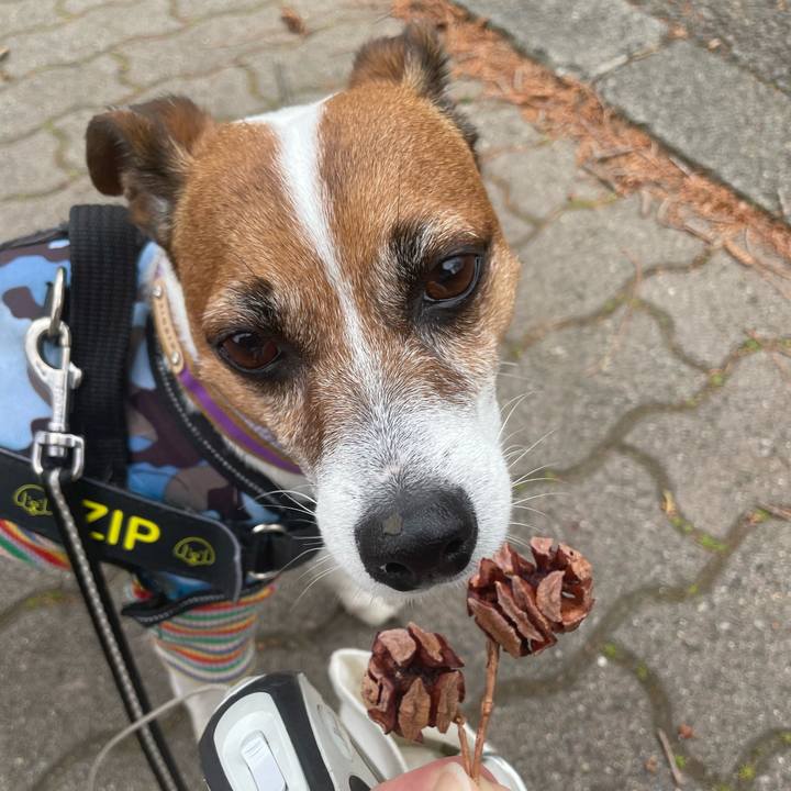 17ca2239 07e5 4d98 813c 5099b306f615 1744428318732