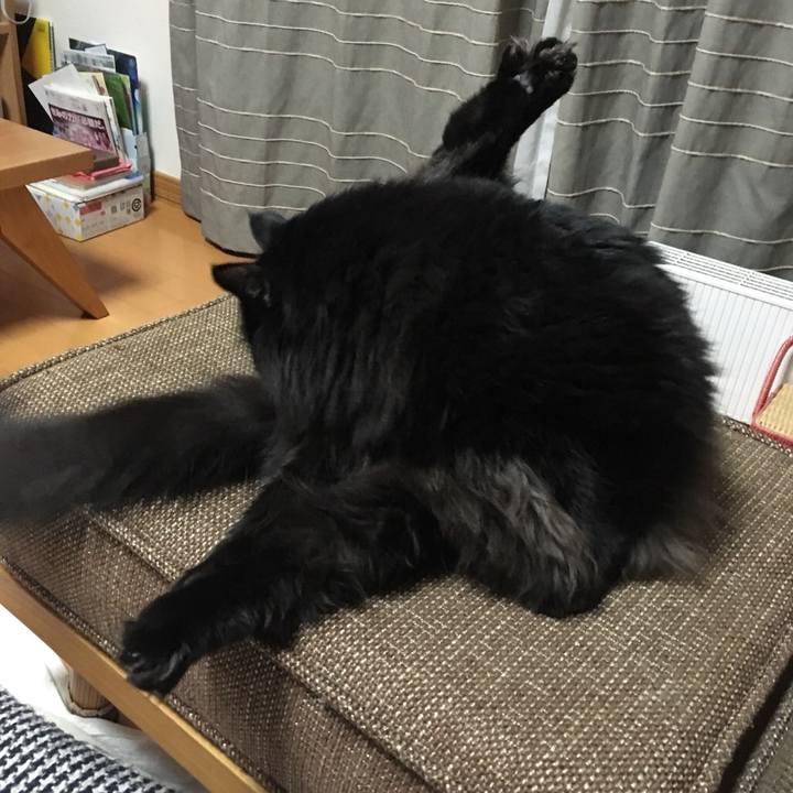 17ca2724 afab 4677 8808 00c3cc6c6ea2 1546261295901