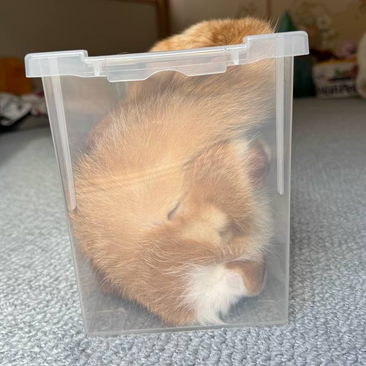 17ca5b37 3eac 42ba 998b 334329bd7e59 1760247268424