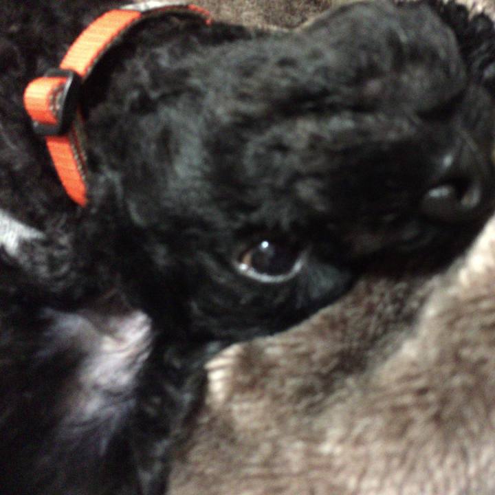 17ca9a70 d916 4fc8 998b 2366582ea41d 1507879778703