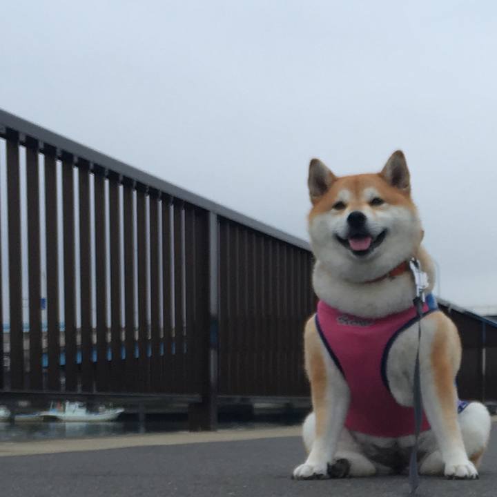 17cb0fac 19bb 42ea bfa1 c2efe0e10708 1570762151295