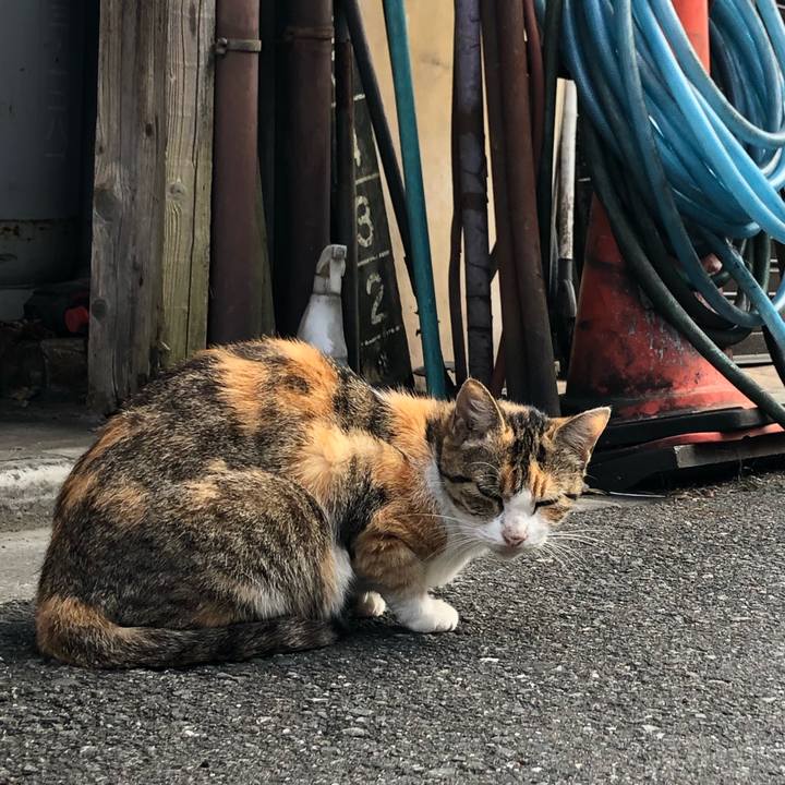 17cb1611 dd3e 4d9c a255 a7c56bedf0ec 1568467692439