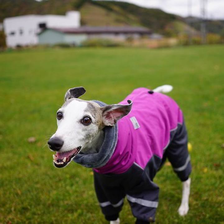 17cb2840 b53e 4dd8 be61 7031dde16891 1542711294100