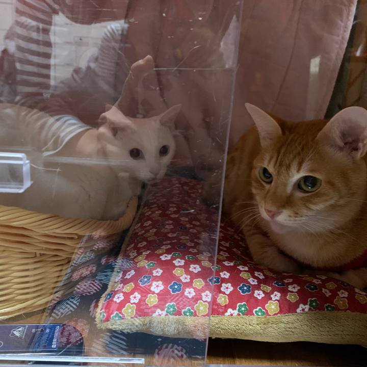 17cb51f0 ecfd 4763 af24 7f1f607328dc 1579096065587