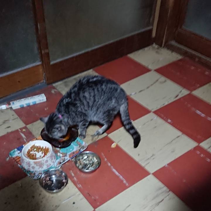 17cb891f eb12 4cdc 8e2a c79015df1fe4 1581278687928