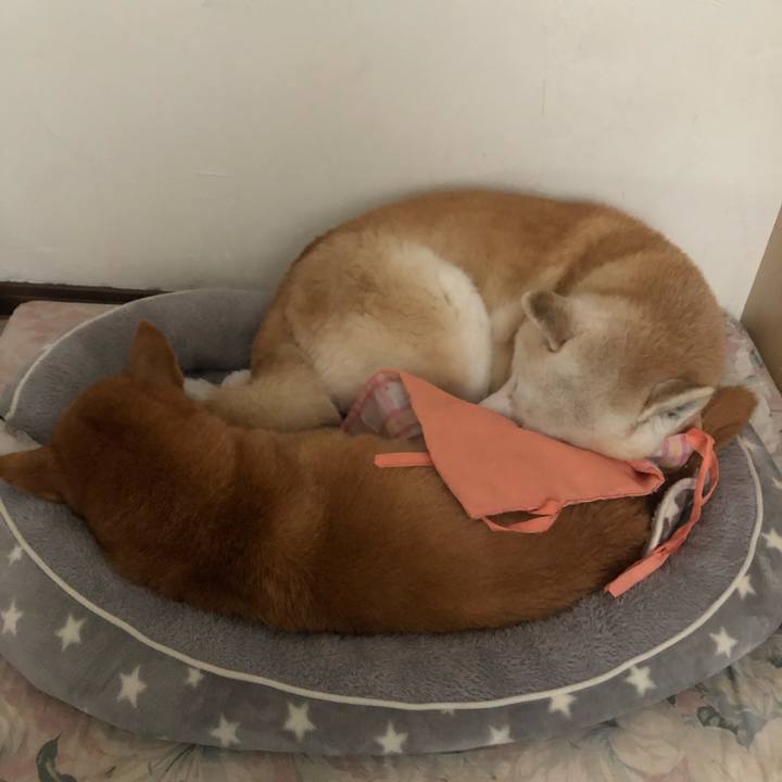 17cbaec0 7dd0 45f0 b407 87ef4db0219c 1613608769464