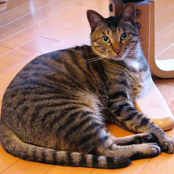 17cbc491 4e1b 400f a5ea cbad5bb092b0 1549285078784