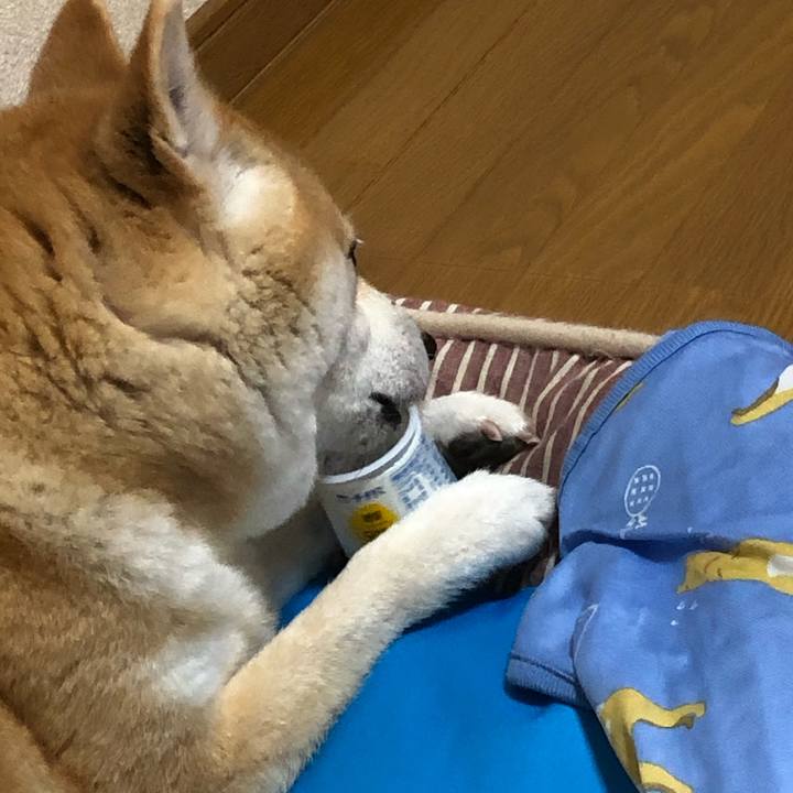 17cbdf60 7604 41ef a772 b3cecc47e5b1 1592802480182