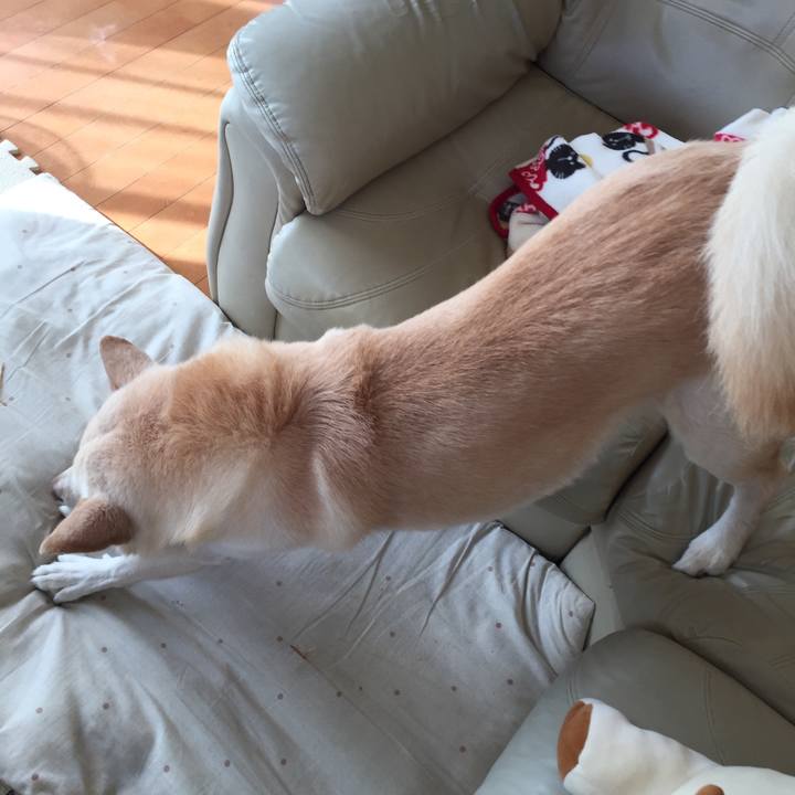 17cbffc2 771d 4d30 955f 1d06083d1e34 1508983293677