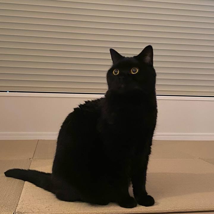 17cc0530 232c 4a26 ad1f c1849c18141e 1723034677544