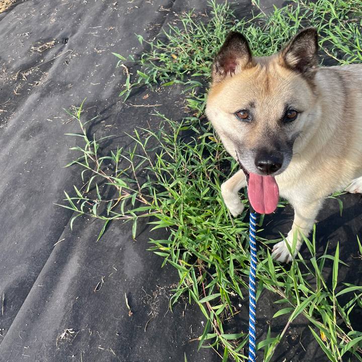 17cc1237 0f27 42b6 a2ed 41efab6aa260 1657288751535