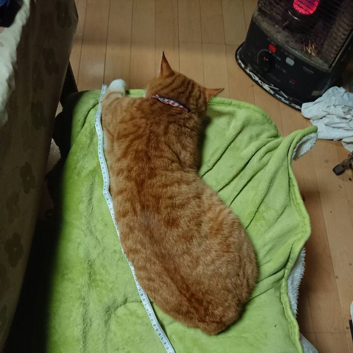 17cc3fe1 1ee7 4699 909c b4e76eb7bbe6 1608114415772