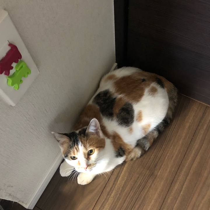 17ccb43c 30e9 4a88 a189 c3ff8c51e9cc 1578612132283