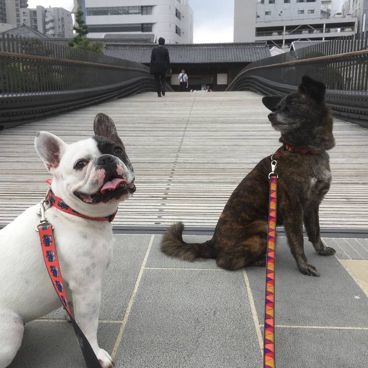 17ccb4e6 1d04 4c5b bb29 72cd198d7359 1528300954854