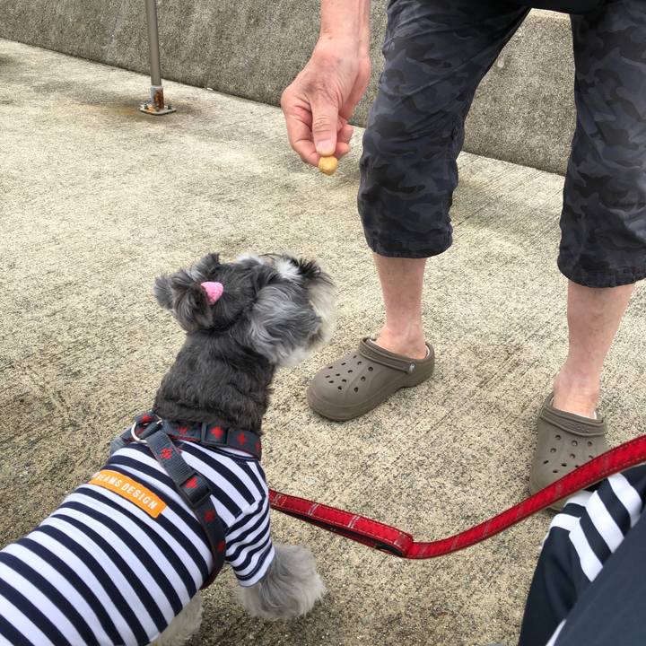 17ccb604 80f9 4cf8 908e 9f5cb0422266 1664004592560