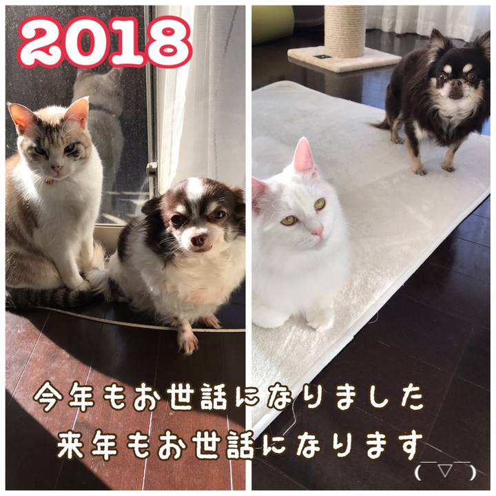 17ccd9ba 9a5b 4502 b117 6362daaa620e 1546221189340