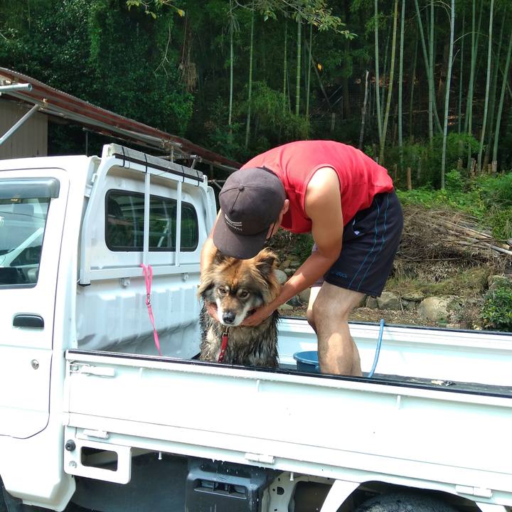 17cce56f 7244 4934 97c8 d3da151e4a01 1660459855203