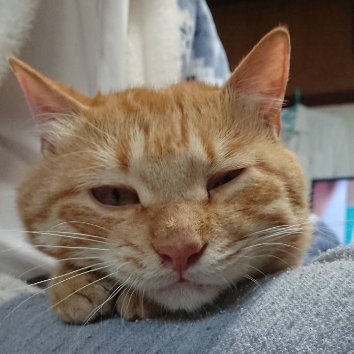 17ccedf2 658d 4a78 abcd 1b22bae9ec76 1651829903214