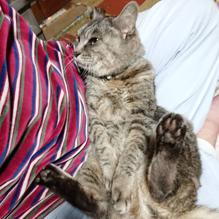 17ccfd92 3b75 4ced 86d4 281e78a2a5ec 1574675267350