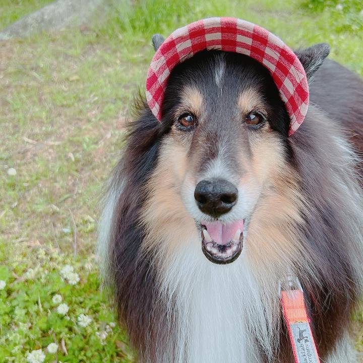 17ccfe2e e958 4ec0 9a59 d74226ecae8c 1653324686923