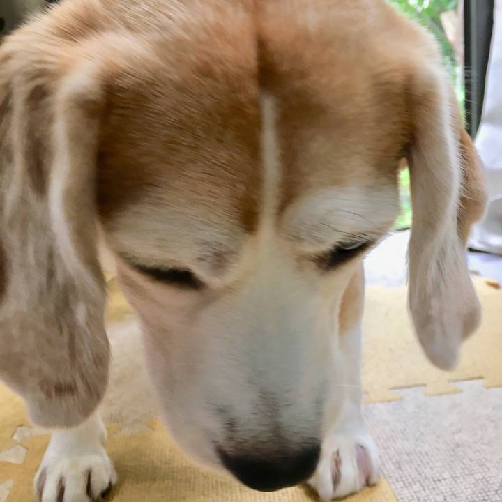 17cd274a ff2d 47bd b698 36e6ba124683 1752364768600